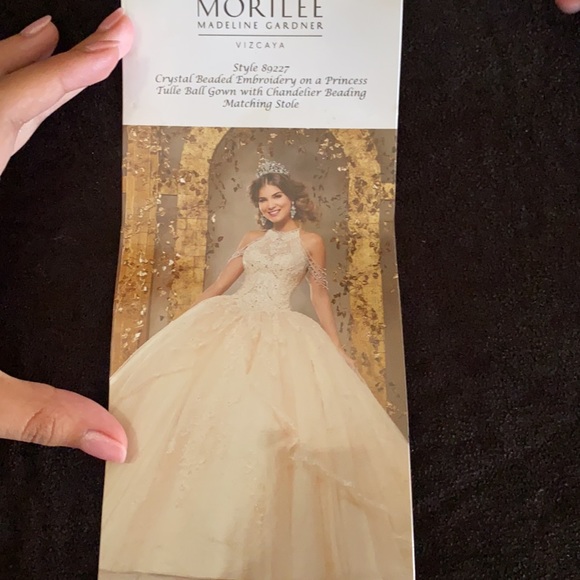 Mori Lee Madeline Gardener Crystal beaded embroidery on princess tulle Ballgown - Picture 9 of 10